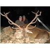 #SLA-56 Red Deer Hunt, Spain