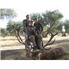 Image 2 : #SLA-56 Red Deer Hunt, Spain