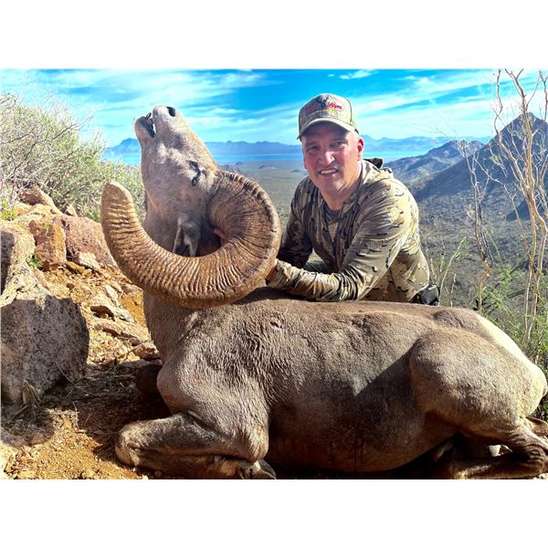 TH-32 Desert Sheep (Mexicana) Hunt, Tiburon Island, Mexico