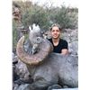 Image 6 : TH-32 Desert Sheep (Mexicana) Hunt, Tiburon Island, Mexico