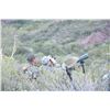 Image 7 : TH-32 Desert Sheep (Mexicana) Hunt, Tiburon Island, Mexico