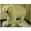 Image 1 : POLAR BEAR MOUNT