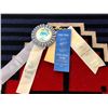 Image 5 : A Beautiful Award Winning Navajo 3rd Phase "Revival" Chief's Blanket
