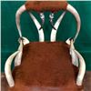 Image 2 : A Unique Old Steer Horn Chair