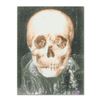 Image 1 : Ringo Daniel Funes, (Protege of Andy Warhol's Apprentice, Steve Kaufman), "Gothic Skull (Dali Homage