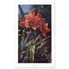 Image 1 : Diane Garrick Scholze, "Paradise Garden-Amaryllis" Limited Edition Lithograph, Numbered and Hand Sig