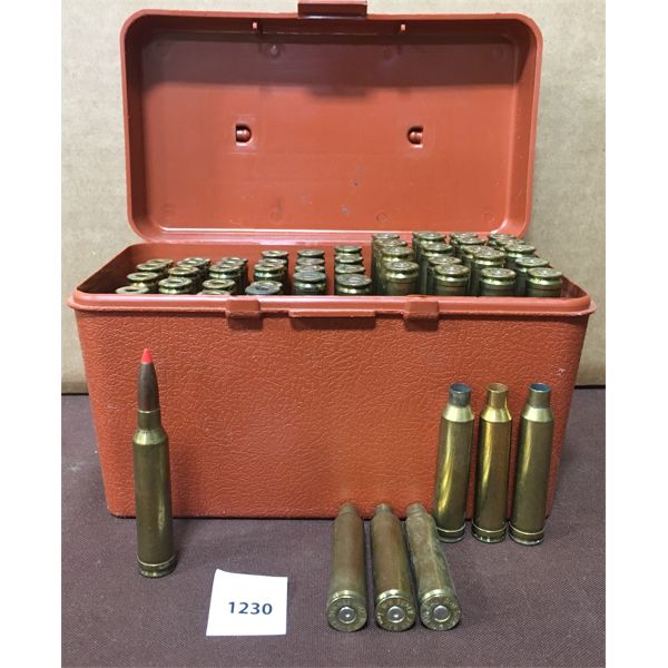 BRASS & AMMO: 46X BRASS & 10X LIVE 7 MM REM MAG