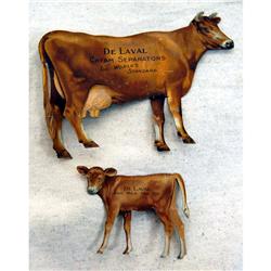 Jersey DeLaval cow & calf