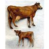 Image 1 : Jersey DeLaval cow & calf