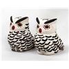 Image 1 : 2 Acoma Hand Painted Ceramic Pottery Owls