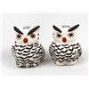 Image 2 : 2 Acoma Hand Painted Ceramic Pottery Owls