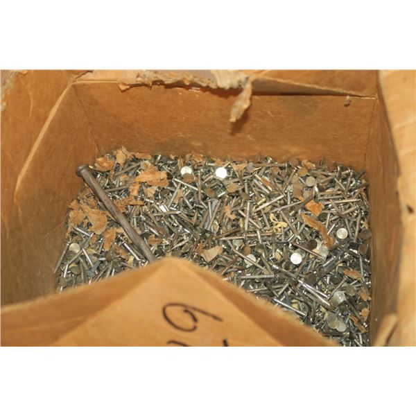Lot of nails, misc. sizes