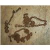 Image 1 : Lot misc. Chain