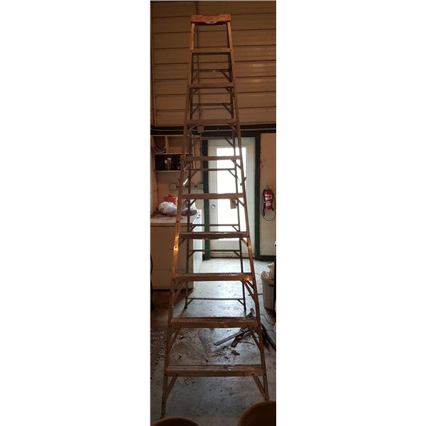 95" Step Ladder