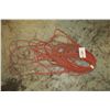 Image 1 : Lot of Extension Cords