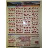 Image 2 : 4 Meat Merchandising Posters 27"×37"