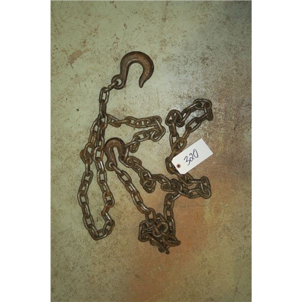 Chain w/ Hooks