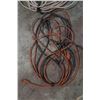 Image 4 : Lot electrical Wire w/ Plug ends + Extension cords