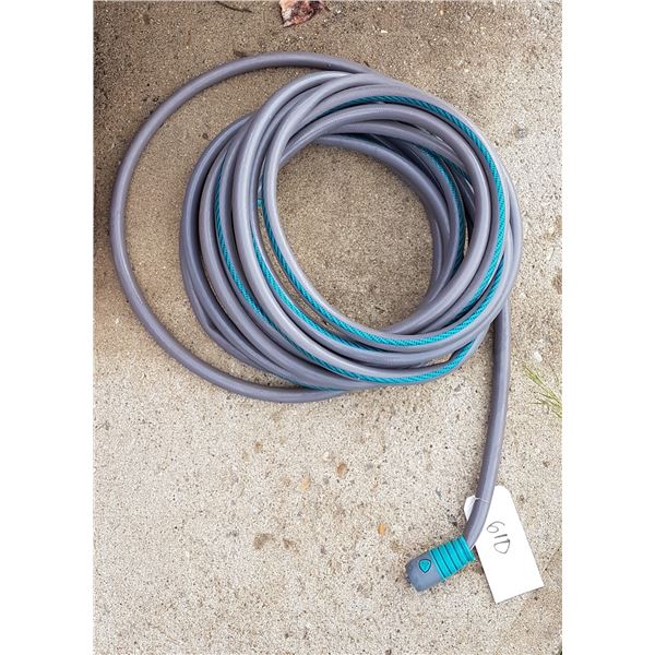 50' Garden Hose