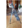Image 3 : Step Ladder