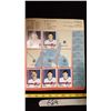 Image 3 : Lot Hockey Sticker Book & Sports Cards