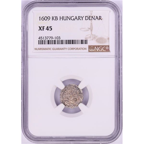1609 KB Hungary Denar 'Madonna and Child' Coin NGC XF45