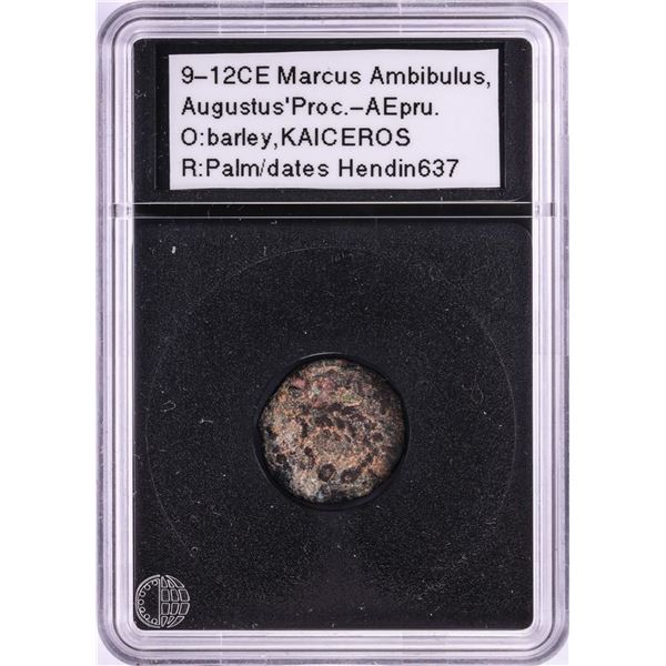 9-12CE Marcus Ambibulus Augustus AE Prutah Ancient Coin