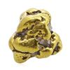 Image 2 : 3.03 Gram Gold Nugget