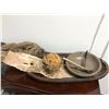 Image 3 : Group of wood fire starter material from the popular sci-fi tv series