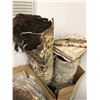 Image 1 : 2 boxes of birch bark from the popular sci-fi tv series