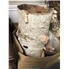 Image 3 : 2 boxes of birch bark from the popular sci-fi tv series