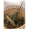 Image 3 : Two large baskets w/ dried flowers from the popular sci-fi tv series