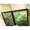 Image 1 : Two large decorative framed picture each measured 41in x 57in from the popular sci-fi tv series