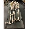 Image 1 : 3 White bleached skeletons & two folding cots from the popular sci-fi tv series  from the popular sc