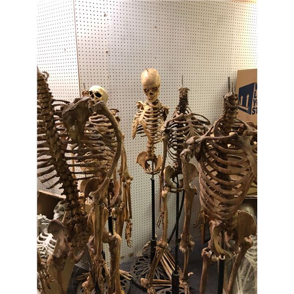 Group of 6 skeletons from the popular sci-fi tv series (heads and limbs may be missing)