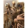 Image 2 : Group of 6 skeletons from the popular sci-fi tv series (heads and limbs may be missing)