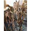 Image 1 : Group of 6 headless skeletons on stands from the popular sci-fi tv series (some limbs may be missing