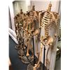 Image 1 : Group of 5 headless skeletons on stands from the popular sci-fi tv series (some limbs may be missing