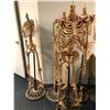 Image 1 : Group of 4 headless skeletons on stands from the popular sci-fi tv series (some limbs may be missing