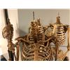 Image 2 : Group of 4 headless skeletons on stands from the popular sci-fi tv series (some limbs may be missing