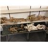 Image 1 : Group of 4 headless skeletons & 1 folding cot from the popular sci-fi tv series (some limbs may be m