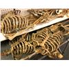 Image 2 : Group of 4 headless skeletons & 1 folding cot from the popular sci-fi tv series (some limbs may be m