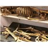Image 2 : Group of 4 headless skeletons & 1 folding cot from the popular sci-fi tv series (some limbs may be m
