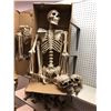 Image 1 : 2 Pose-n-stay skeletons & 7 skulls from the popular sci-fi tv series