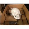 Image 1 : Box of 6 high quality human skull props from the popular sci-fi tv series