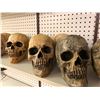 Image 2 : Group of 12 human skull props from the popular sci-fi tv series