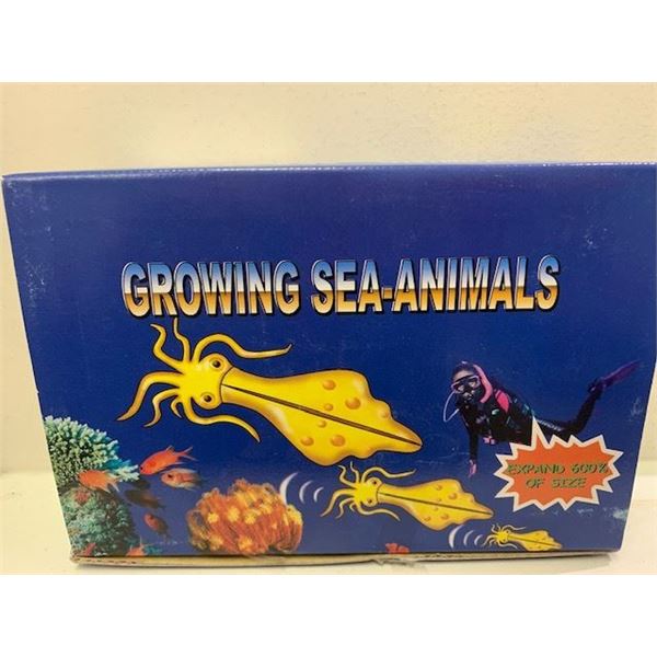 GROWING SEA ANIMALS BOX