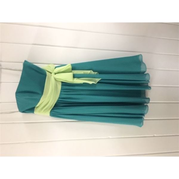 Gown/Cocktail Dress