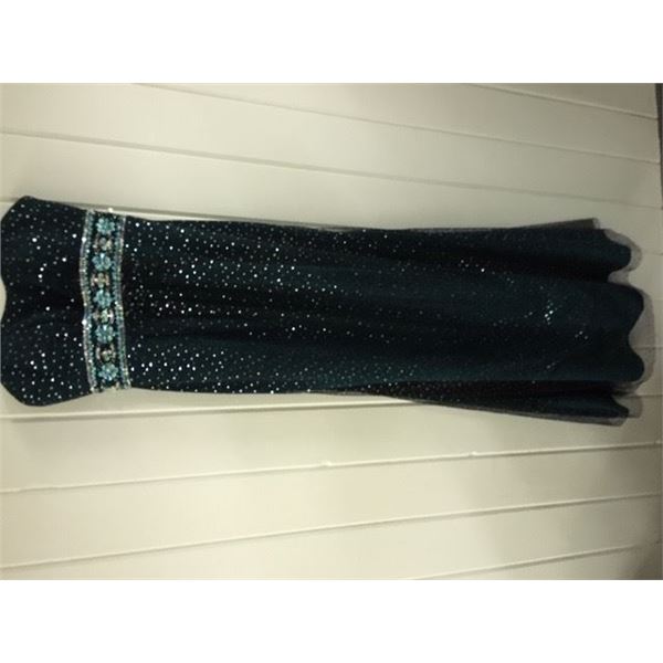Gown/Cocktail Dress