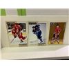 Image 1 : JUMBO HOCKEY CARDS